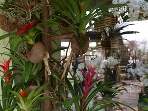 P3290689