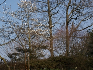 P3290833