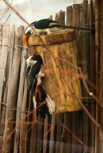 IMGP0052
