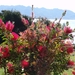 DSC00150