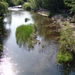 DSC00178