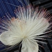 DSC08040