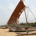 DSCN0256