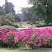 SriLanka(153)