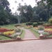 SriLanka(154)