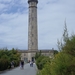 phare des baleines