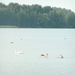 25 juli 2008 026