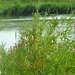 25 juli 2008 028