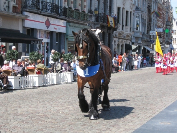 Hanswijkprocessie 2011 012