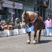 Hanswijkprocessie 2011 020