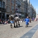 Hanswijkprocessie 2011 030