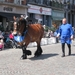 Hanswijkprocessie 2011 046