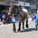 Hanswijkprocessie 2011 059