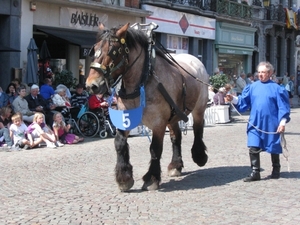 Hanswijkprocessie 2011 059