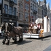 Hanswijkprocessie 2011 073