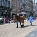 Hanswijkprocessie 2011 075