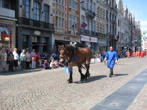 Hanswijkprocessie 2011 075