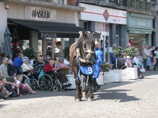 Hanswijkprocessie 2011 104