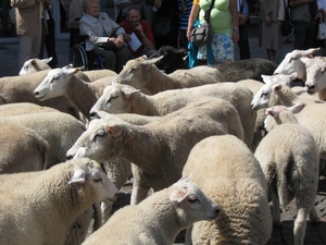 Hanswijkprocessie 2011 110