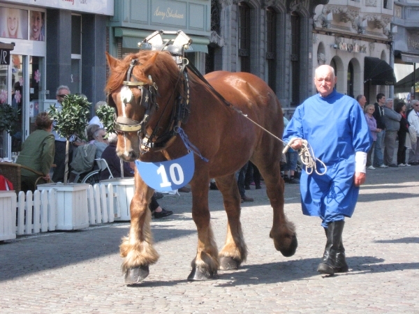 Hanswijkprocessie 2011 121