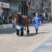 Hanswijkprocessie 2011 163