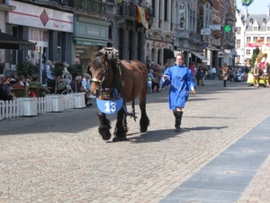 Hanswijkprocessie 2011 163