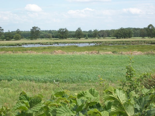 091-Poel voor vogels