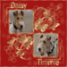 timmie daisy