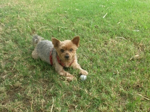 turkye 2007 19september 021