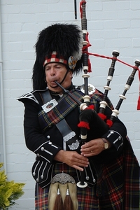 scotland 243