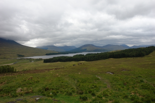 scotland 353