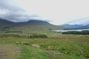 scotland 355