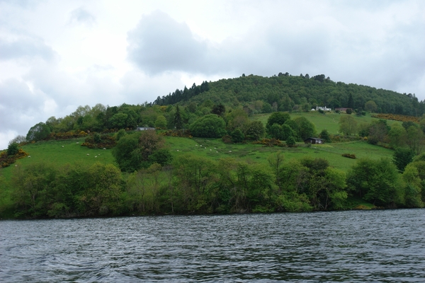 scotland 509