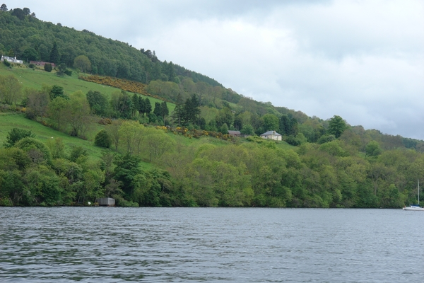 scotland 514