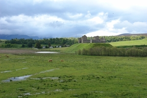 scotland 544