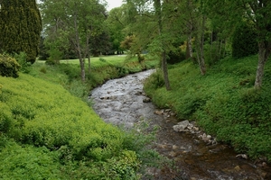 scotland 546