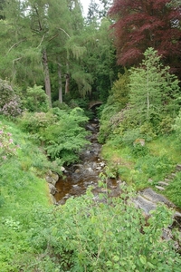 scotland 589