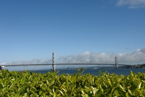 scotland 695