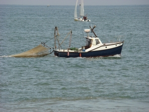 GARNAALVISSER