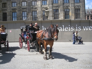 Schotland 2011 018