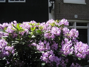 Schotland 2011 035