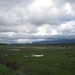 Schotland 2011 340
