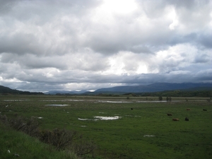 Schotland 2011 340