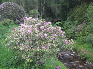 Schotland 2011 375