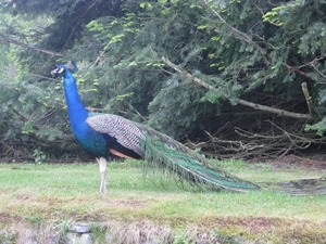 Schotland 2011 386