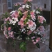Schotland 2011 421
