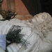 Schotland 2011 433
