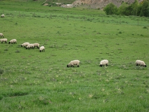 Schotland 2011 508