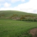Schotland 2011 509