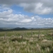 Schotland 2011 529